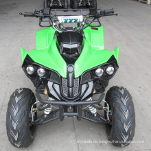 Rückwärtsgang in Höchstgeschwindigkeit von 65km / H mit neuem Kawasaki Style 125cc ATV Quad (ET-ATV048)